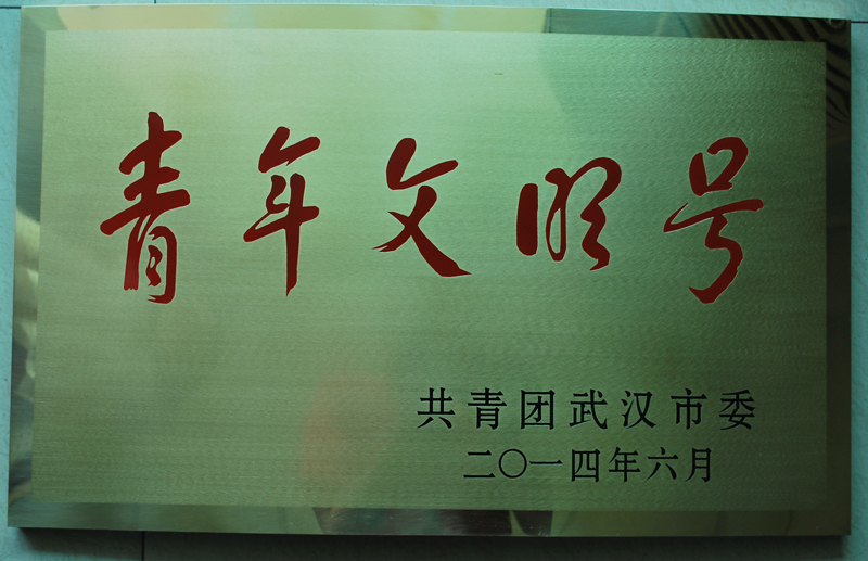 湖北東信醫(yī)藥榮獲 “2013-2014年度武漢市青年文明號”榮譽...