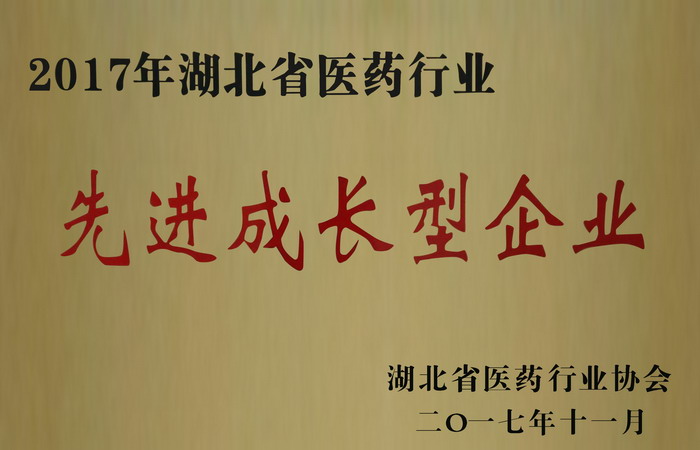 東信藥業(yè)榮獲“湖北省醫(yī)藥行業(yè)先進(jìn)成長(zhǎng)型企業(yè)”，“混合脂肪酸甘油酯...